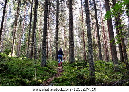 Young girl looking for mushrooms in a forest. Mushroom hunting, mushrooming, mushroom picking and mushroom foraging describe the activity of gathering mushrooms in the wild. Forest therapy is healing. Royalty-Free Stock Photo #1213209910