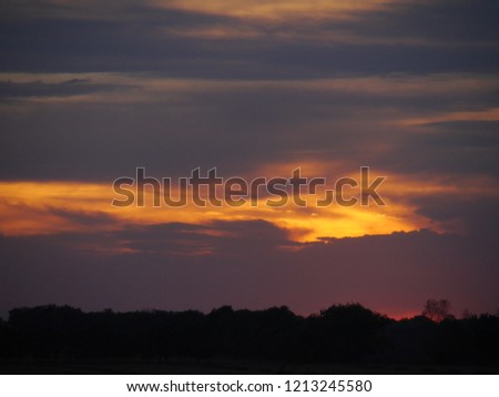 Bright sunset sky and tree silhouettes