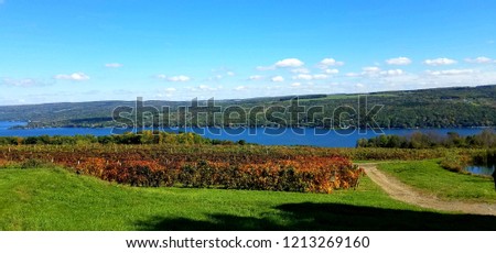 Autumn View of Fall Foliage, a Wine Vineyard and a Lake Royalty-Free Stock Photo #1213269160