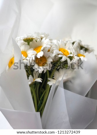 shabby bouquet with spring daisy flowers
