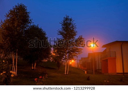 Mysterious abstract foggy landscape with street lamps shining with smooth light among the green trees and cute houses at night. Fog in colorful park under the blue sky