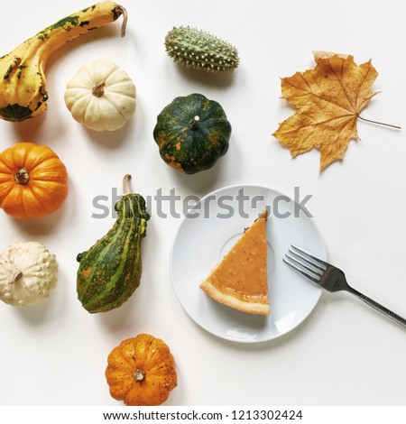 Piece of a pumpkin pie on a saucer isolated on white background with a clipping path