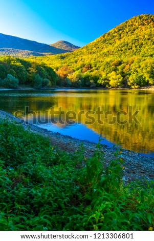 Autumn scenery with golden mountain forest, blue lake and green plants
