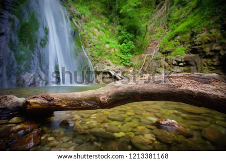 The wood and the waterfall