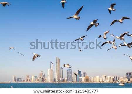 Skyline of Abu Dhabi with sea gulls, United Arab Emirates