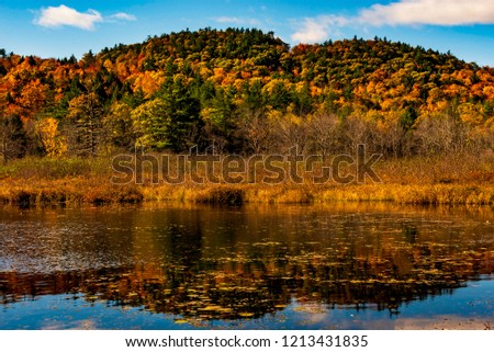 Fall Beautiful Autumn foliage and lake landscape
