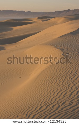 California Sand Dunes