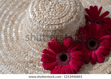 Straw hat with three res gerberas. 