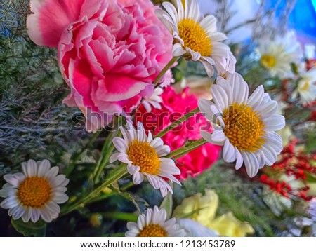 Various flowers on black background. Overhead view with copy space
