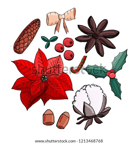Christmas set poinsettia, cone, cotton. omela, cinnamon, cranberry, nuts, ,candy cane, bow in the circle  shape. Isolated on the white background.