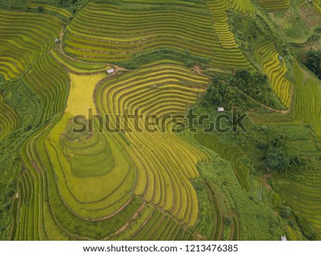 Aerial view above of Vietnam landscapes with terraces rice field. Rice fields on terraced of Mu Cang Chai, YenBai. Royalty high-quality free stock photo landscape of terrace rice fields in Vietnam