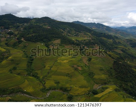 Aerial view above of Vietnam landscapes with terraces rice field. Rice fields on terraced of Mu Cang Chai, YenBai. Royalty high-quality free stock photo landscape of terrace rice fields in Vietnam