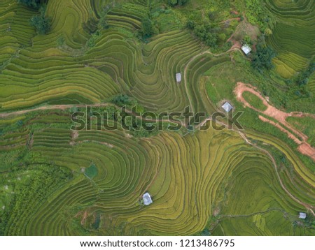 Vietnam landscapes with terraces rice field. Rice fields on terraced of Sapa, Lao Cai. Royalty high-quality free stock image of beautiful terrace rice fields prepare the harvest at Vietnam