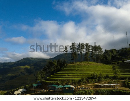 Aerial view of Vietnam landscapes. Rice fields on terraced of Mu Cang Chai, YenBai. Royalty high-quality free stock image of beautiful terrace rice fields prepare the harvest at Northwest Vietnam