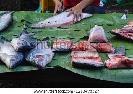 Fish vendor preparing the river fishes for sale at the morning market in Luang Prabang