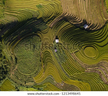 Aerial view above of Vietnam landscapes with terraces rice field. Rice fields on terraced of Mu Cang Chai, YenBai. Royalty high-quality free stock image landscape of terrace rice fields in Vietnam