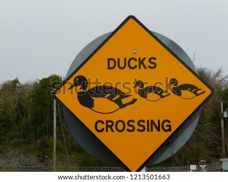Sign Ducks Crossing