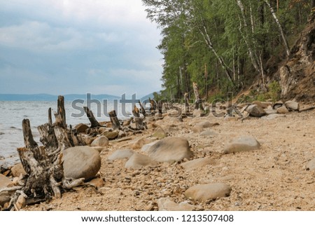 wreckage of trees thrown on the shore of Lake Turgoyak in the Chelyabinsk region