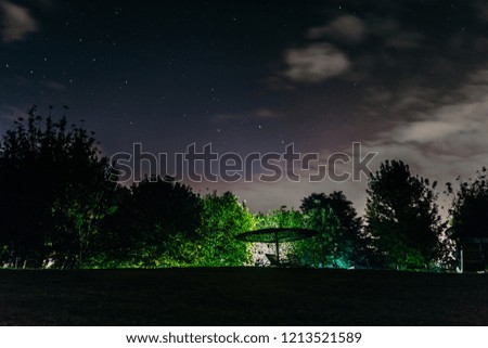 night shot on a tree with beautiful stars in the background