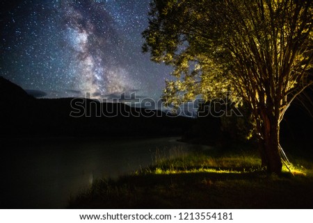 Night sky with stars and The Milky Way Galaxy and higlighted tree on the coast of river of Chuya. Altai, Russia