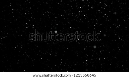 White Snow Falling on Isolated Black Background, Shot of Flying Snowflakes Bokeh, Dust Particles or Powder in the Air. Holiday Overlay Effect
