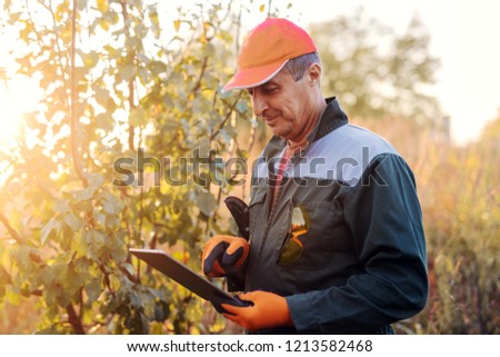 Picture of adult lumberman in working uniform standing in woods and looking at projects on his tablet. Sunny autumn day in woods.