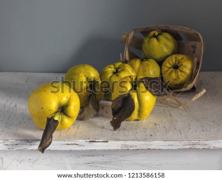 still life with quince and wicker basket. vitamins. harvest ripe fruit.