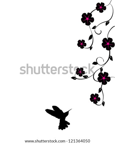 vector hummingbird and flowers