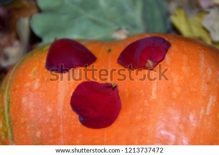 Halloween face from autumn harvest - orange pumpkin and rose petals.
