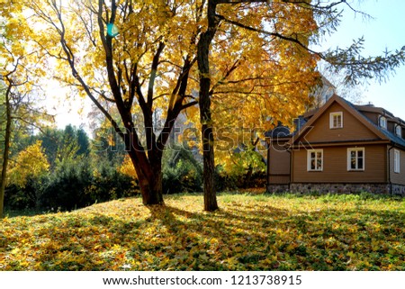 Golden Autumn in Lithuania - Picture of Trakai Island
