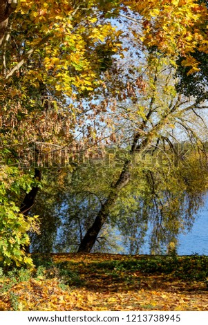 Golden Autumn in Lithuania - Picture of Trakai Island