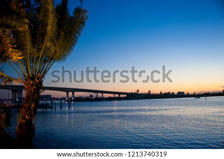 Sunset on the sea with palms and bridge (Florida)
