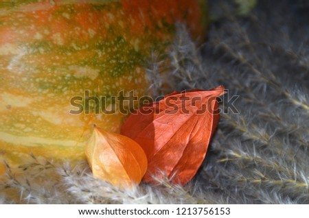 Autumn harvest - physalis flowers and orange pumpkin.