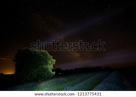 
Photographs of night landscapes