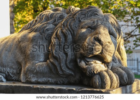 Sculpture of a lion in the city of Lviv