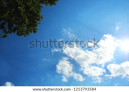 blue summer sky with clouds and tree