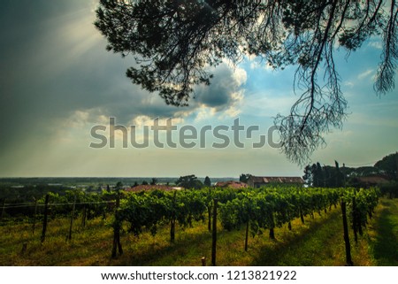 Storm is approaching the vineyards in the fields of Collio, Italy