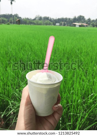 hand holding vanilla soft ice cream with green background