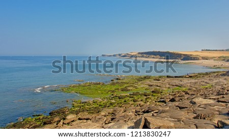 Cliffs and stone beach of the French Opal north sea coast near Wimereux, Nord Pas De Calais, France on a sunny day with blue sky 
