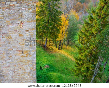 Colorful autumn trees from high angle, day time