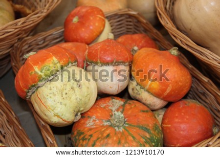 basket with autumn harvest of delicious pumpkin