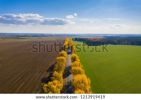 Fall landscape. Road under blue clear sky. Transportation background. Travel background. Sunny autumn aerial view. Fall nature. Clear horizon. Royalty-Free Stock Photo #1213919419