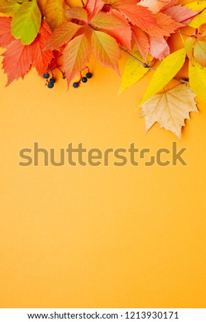 Bright Autumn leaves on orange background. Flat lay, top view, copy space