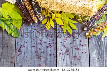 Seasonal background comprised autumn colors, with fallen leaves and pumpkins.