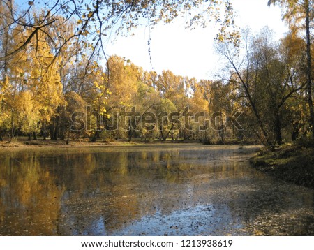 macro photo with decorative landscape background textures of beautiful autumn leaves of trees on the banks of a decorative lake and pond in the sun as a source for prints, advertising, posters, decor