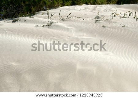 Natural beach scenes at Elafonissi Beach in Crete Greece, white sand with with little green bushes in the sand.                             