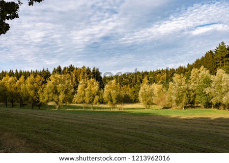 forest landscape with field and blue sky in autumn