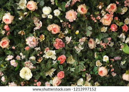 Closeup image of beautiful flowers wall background with amazing red and white roses and peonies on the fir branches Royalty-Free Stock Photo #1213997152