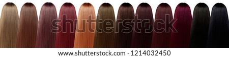 Hair. A collection of hair color shades. From natural blond to chocolate colored hair. Straight hair isolated on white background.