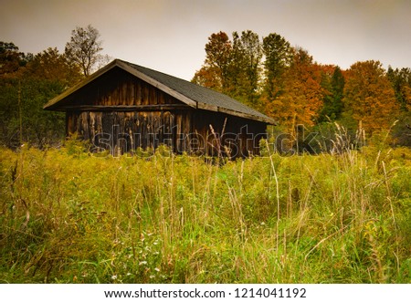 Rustic cabin in the woods with tall grass in the foreground and fall colours in the background. Moody warm sky.